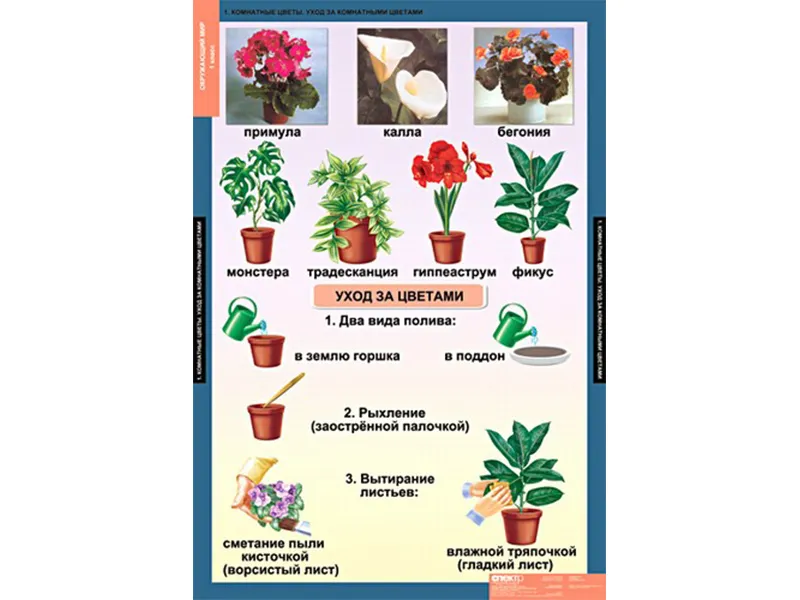 Набор таблиц «Окружающий мир» для 1 класса 68×98 см