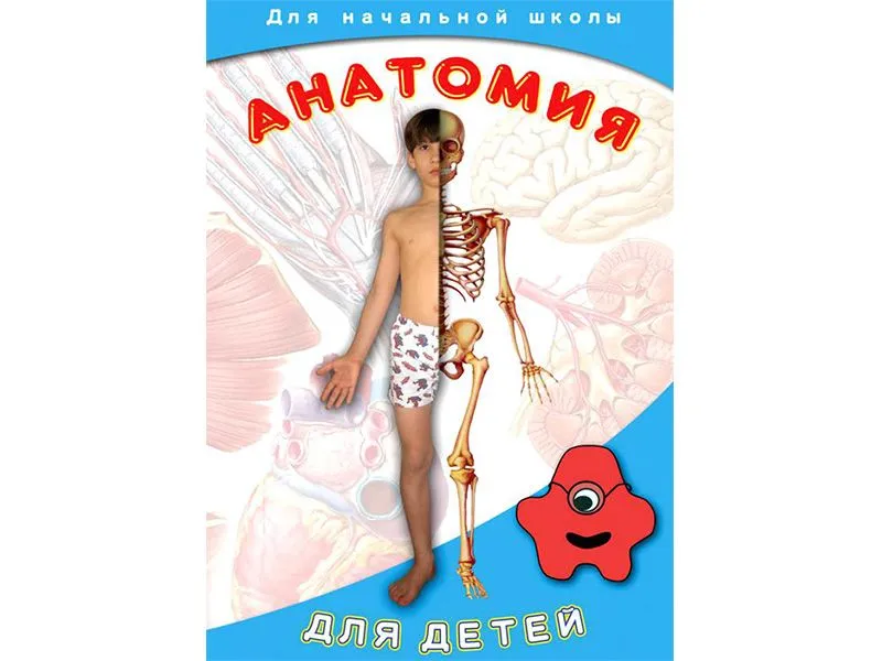 DVD «Анатомия для детей» для начальной школы