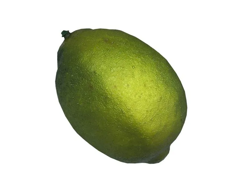 Муляж Лайм — натуральный размер