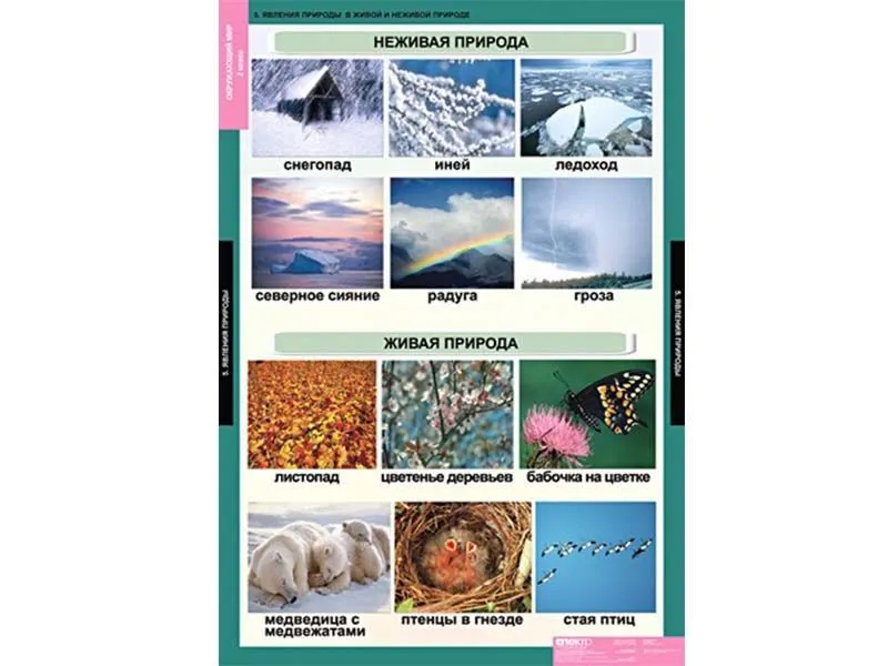 Комплект таблиц Окружающий мир. Изменения в живой и неживой природе 10 шт.