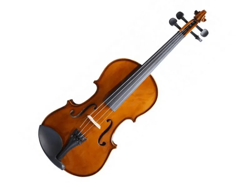 Скрипка FLIGHT FV-34