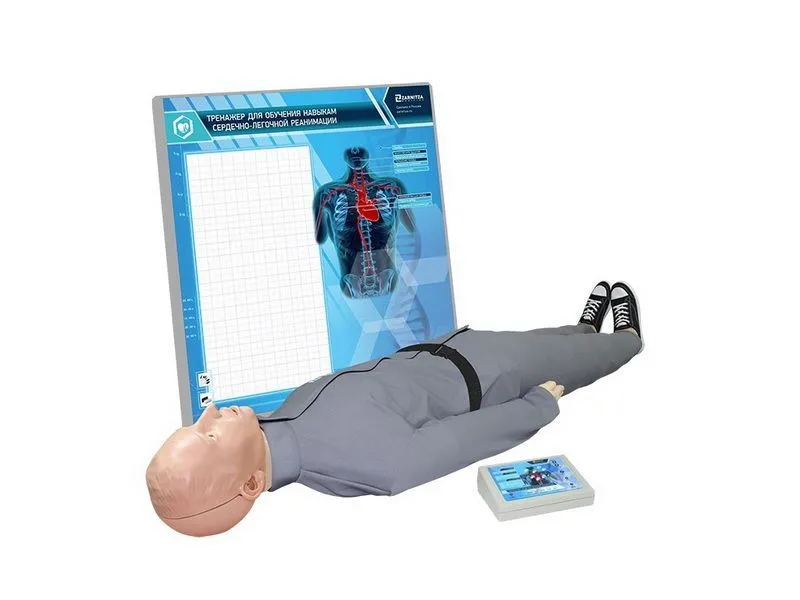 Манекен СЛР «Александр 8» (взрослый)