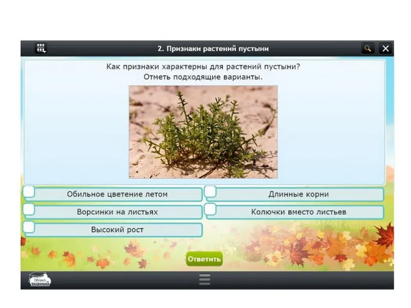 ЭОР «Окружающий мир» — 2 класс