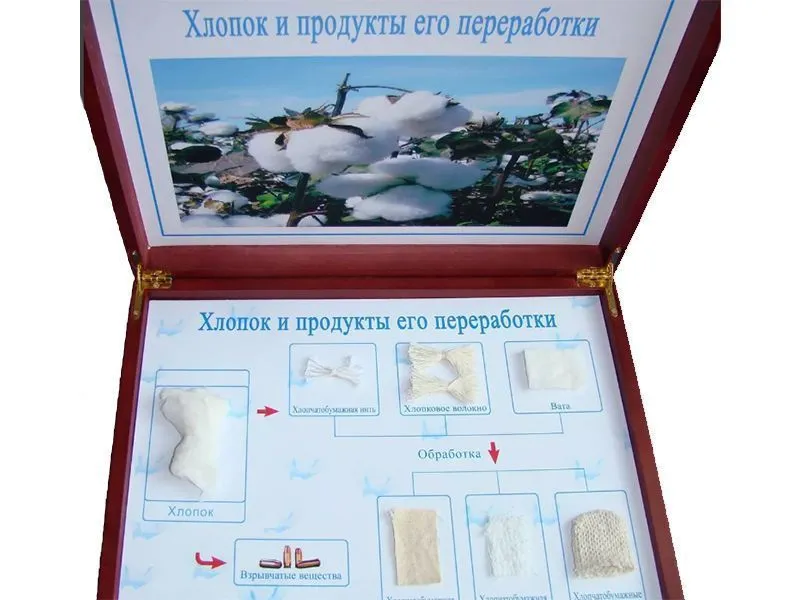 Набор «Хлопок и продукты переработки» 30×21×4.8 см