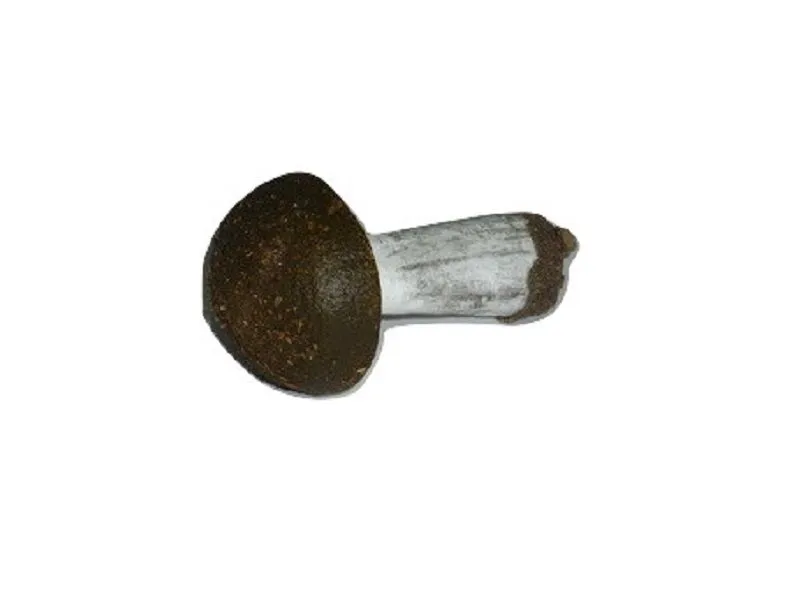 Муляж «Подберезовик» натуральный