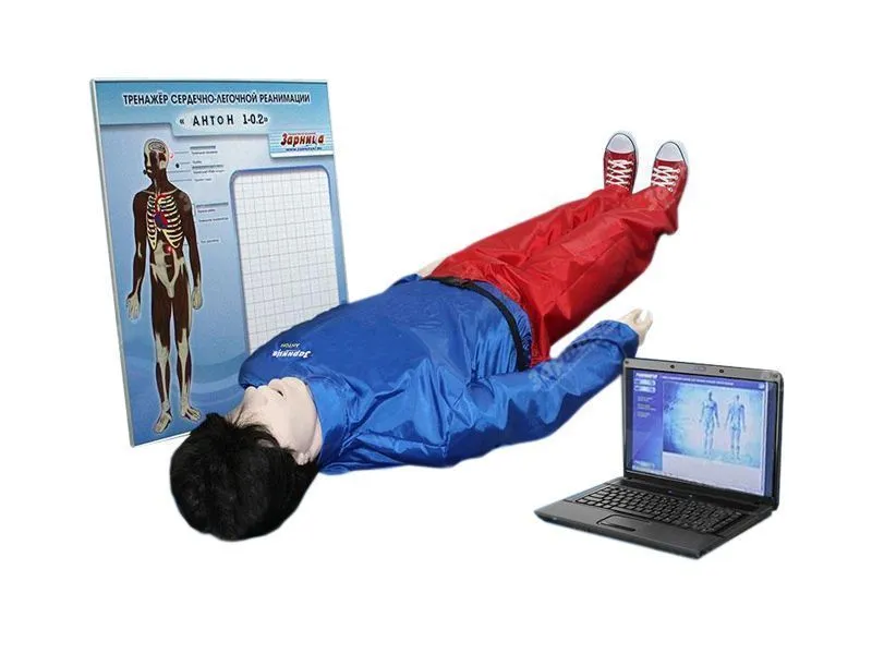 Робот-тренажер Антон-2 для отработки первой помощи