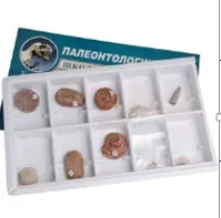 Палеонтологическая коллекция образцов ЭДГ-5447