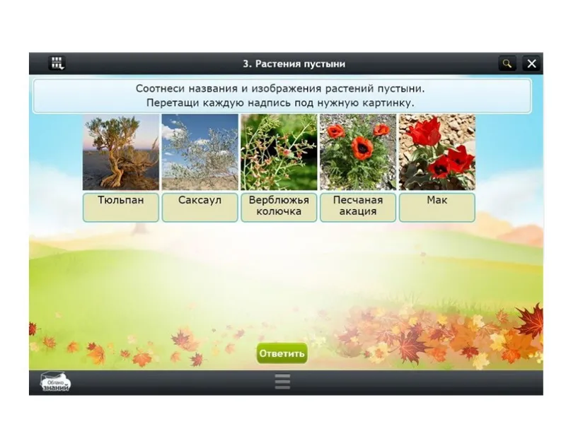 Электронные образовательные ресурсы по предмету Окружающий мир (3 класс)