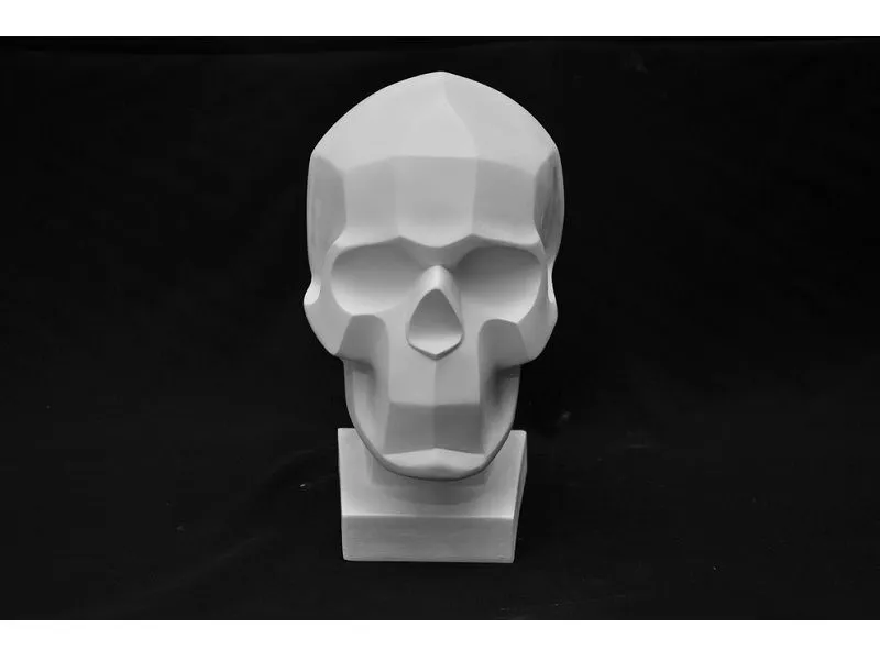 Череп человека — гипсовая обрубовка 165×200×230 мм