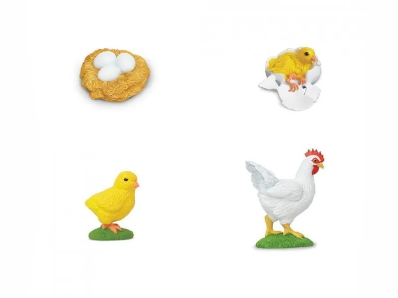 Фигурки Жизненный цикл курицы 4 шт.