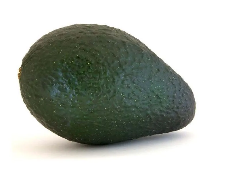 Муляж Авокадо (натуральный размер)