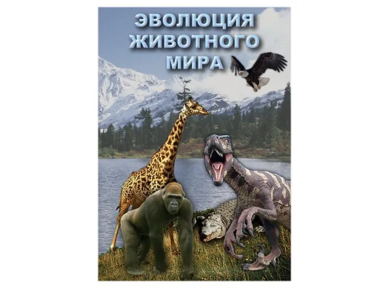 Компакт-диск «Эволюция животного мира» (MP4)