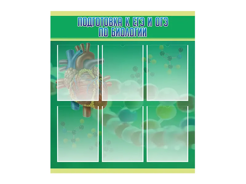 Стенд Подготовка к ЕГЭ и ОГЭ по биологии 150х90 см