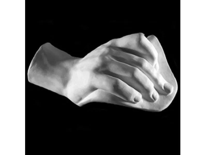 Гипсовая модель кисти Давида