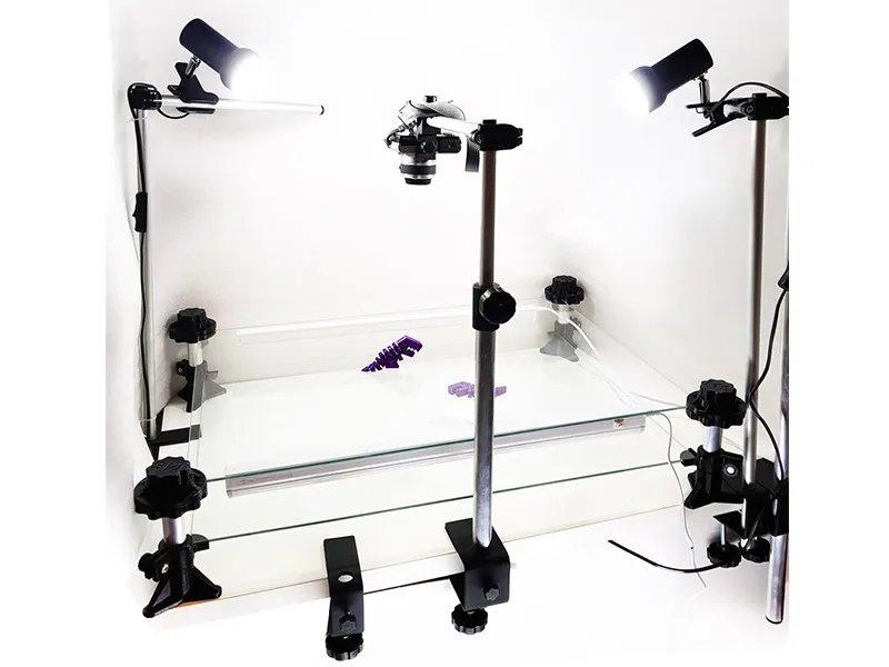 Мультстудия Стандарт