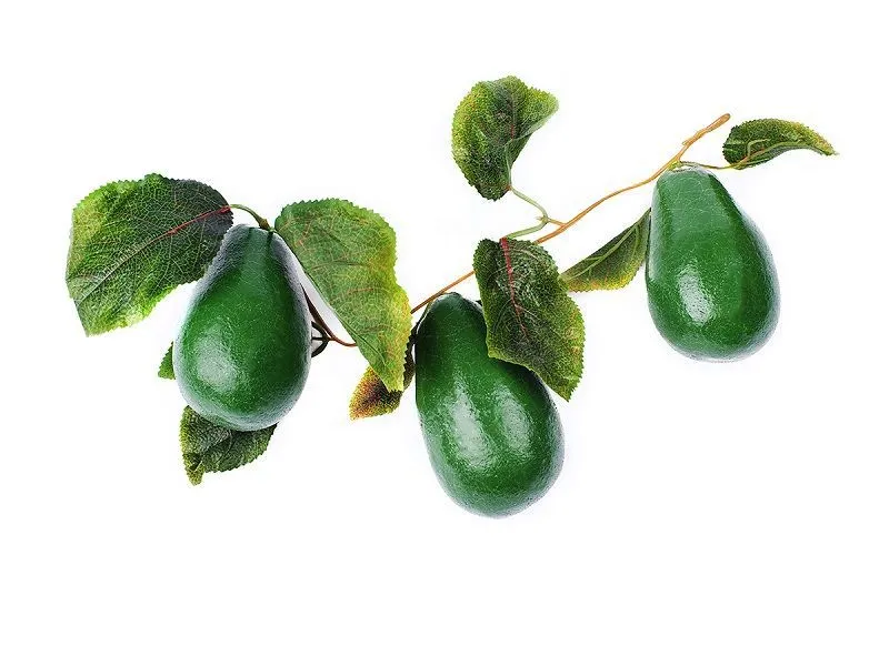 Ветка-муляж «Авокадо» в натуральных тонах