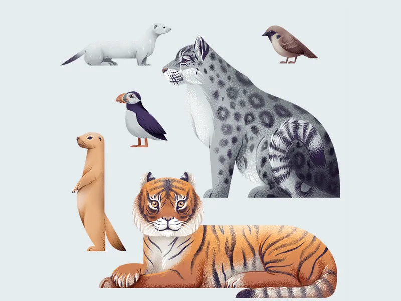 Карта России 250×100 см