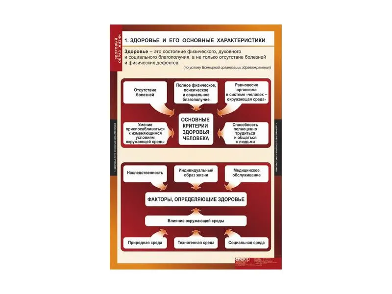 Комплект таблиц ОБЖ «Здоровый образ жизни» 68×98 см