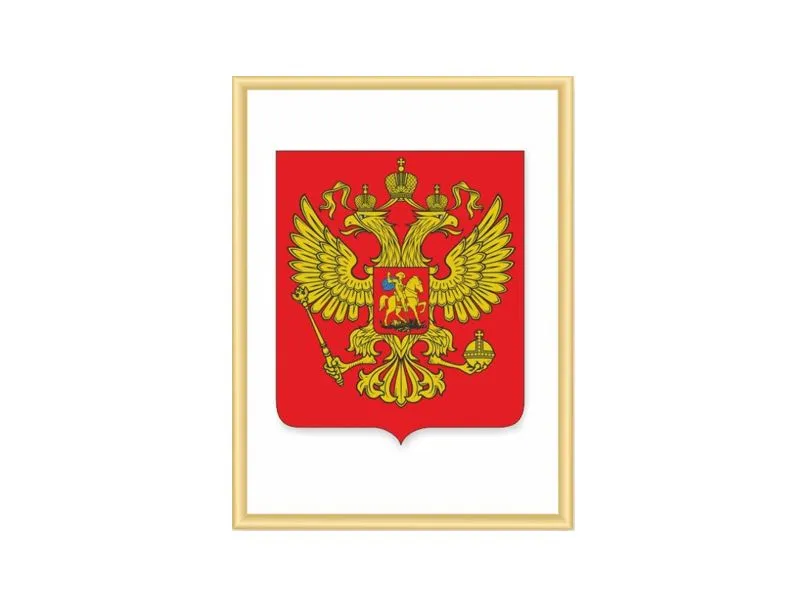 Герб Российской Федерации в рамке NIELSEN 42×56 см