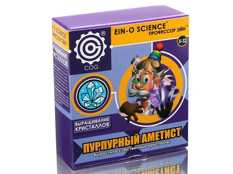 Пурпурный аметист — набор Профессор Эйн