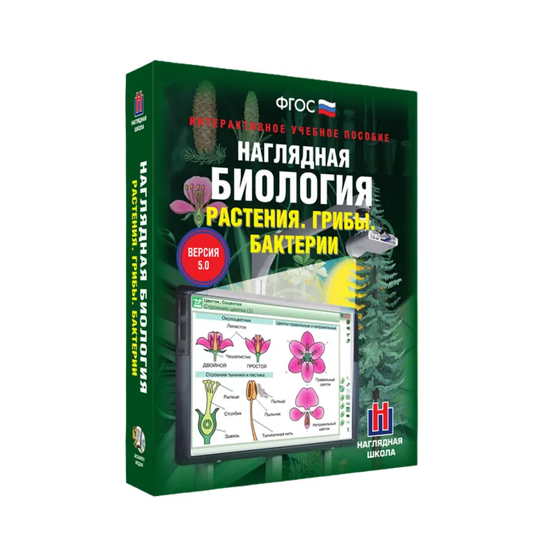 Наглядная биология. Растения. Грибы. Бактерии 6 класс (интерактивное пособие)