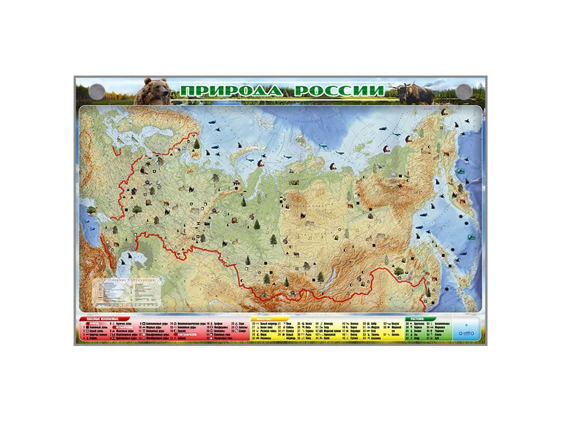 Стенд-планшет электрифицированный «Природа России» 2290×1490 мм