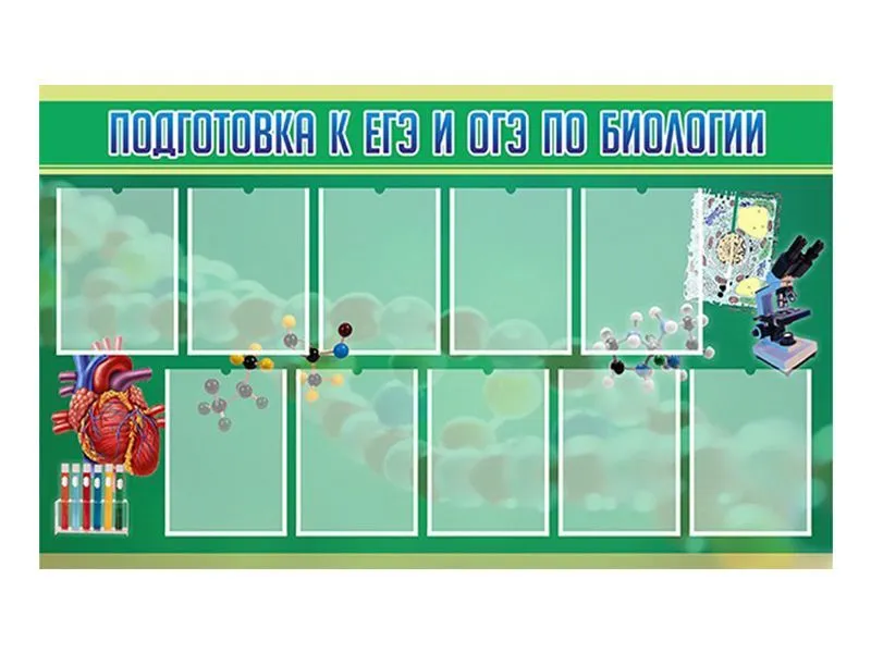 Стенд Подготовка к ЕГЭ и ОГЭ по биологии 150х90 см