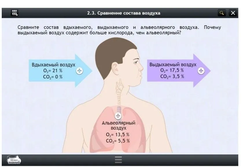 Электронные ресурсы по биологии — 6 класс (35 ч)