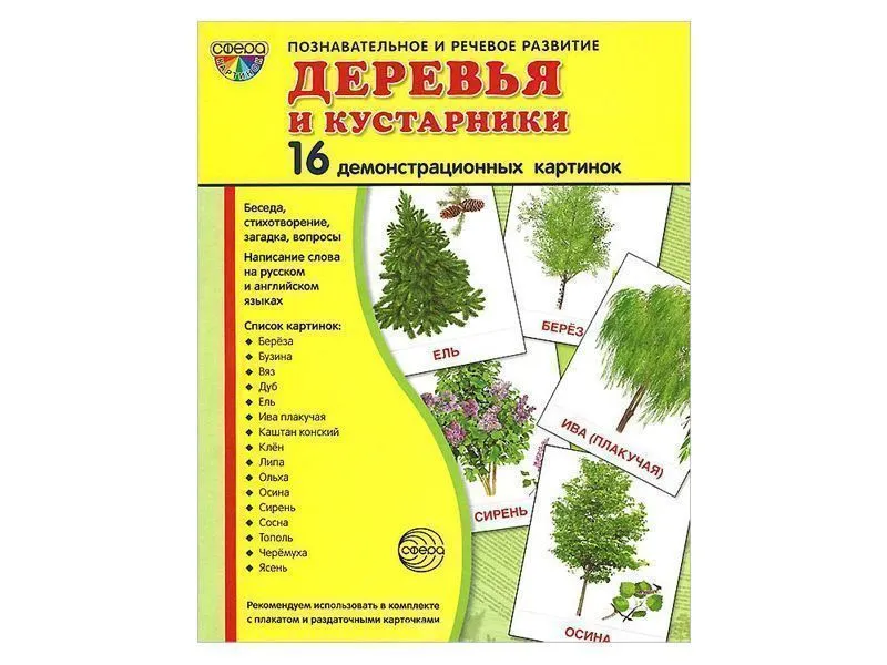 Демонстрационные картинки «Деревья и кустарники», 16 шт.