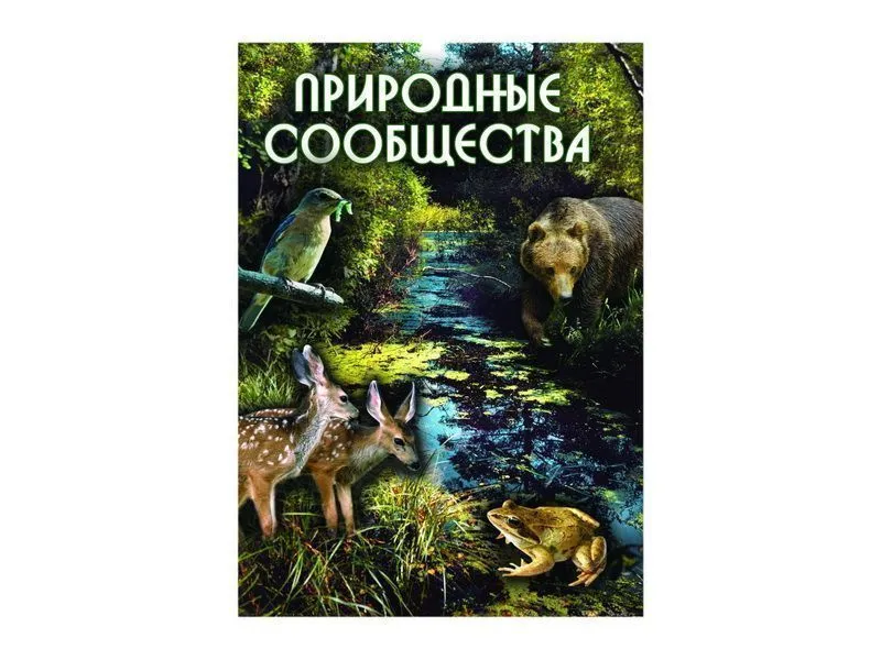 Компакт-диск «Природные сообщества» — MP4