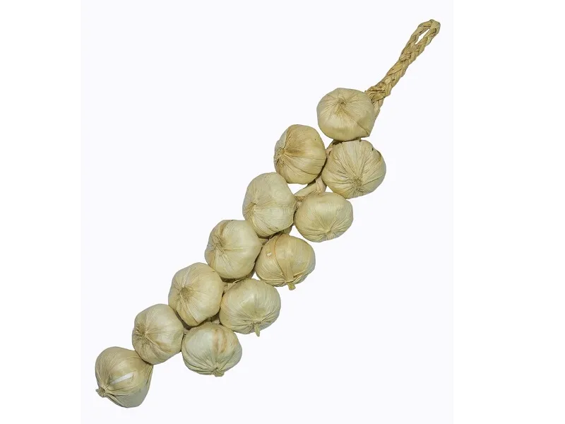 Муляж «Связка чеснока» пластик