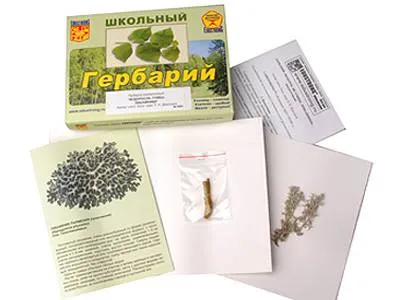 Гербарий "Водоросли, грибы и лишайники" — 9 листов