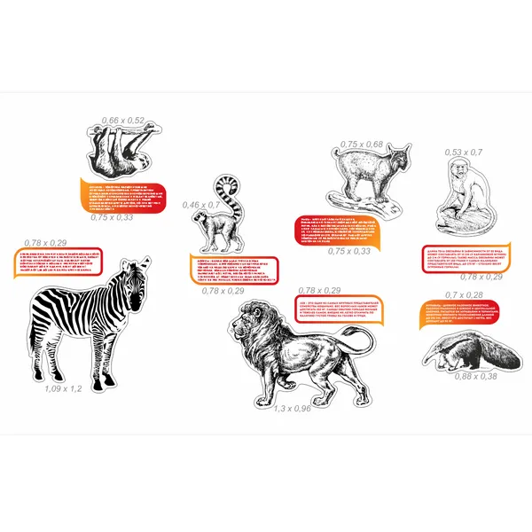 Комплект для оформления кабинета биологии №1