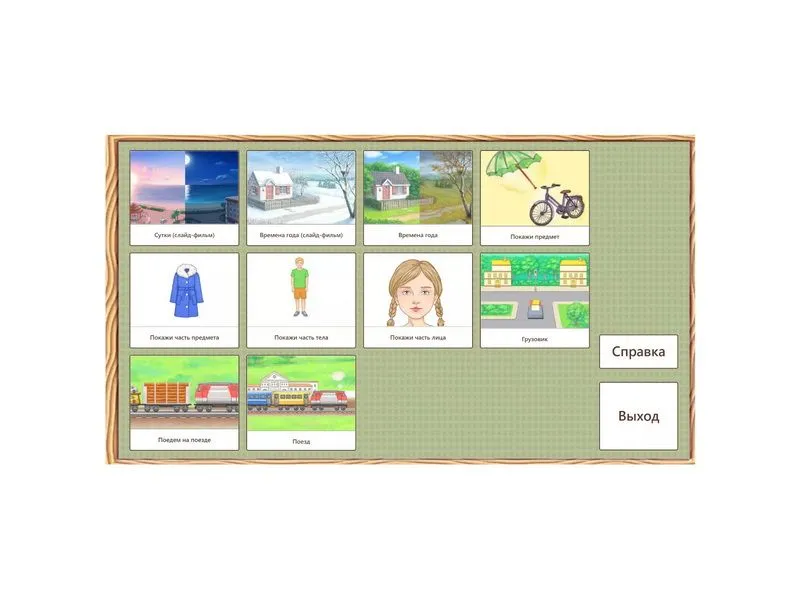 Большая компьютерная программа «РАС. Жизненные компетенции»