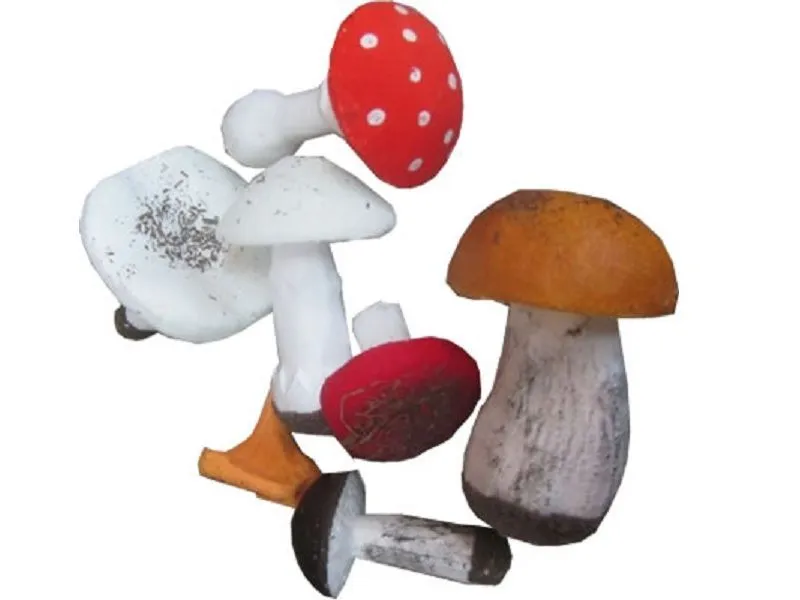 Набор грибов съедобных и ядовитых, 7 шт.