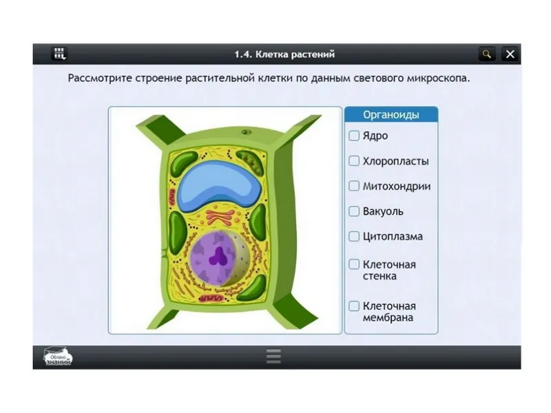 Электронные образовательные ресурсы по предмету Биология (5 класс)