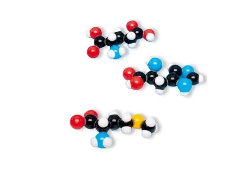 Набор из 8 аминокислот, сборная модель 