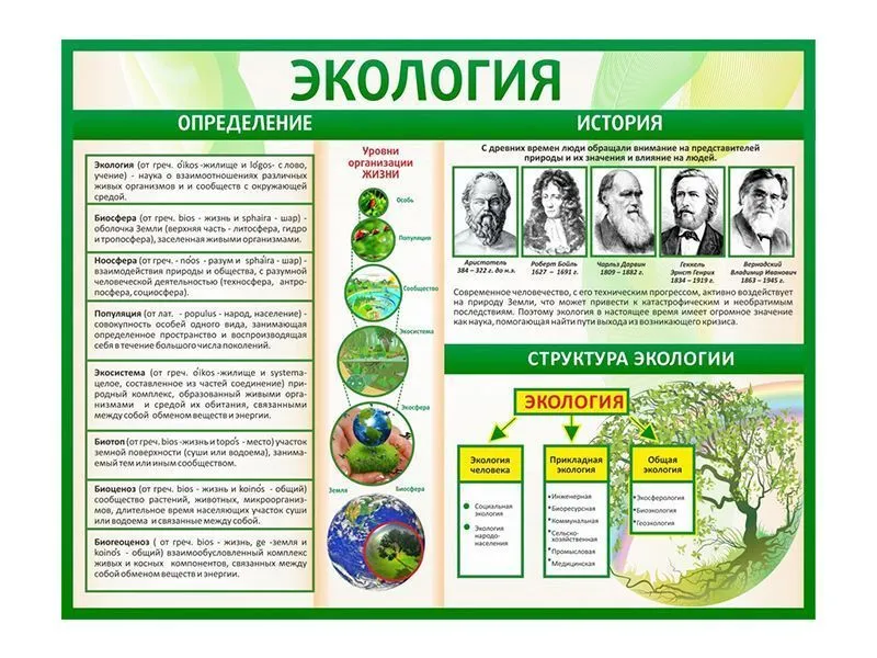 Стенд Экология 130х100 см