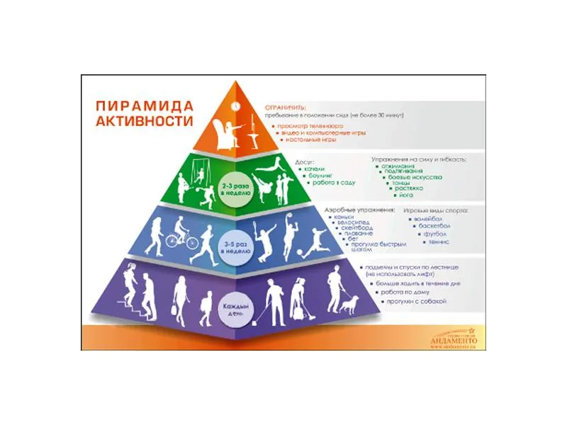 Стенд «Пирамида физической активности» — ПВХ 3 мм