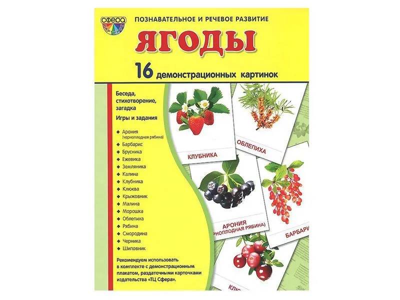 Демонстрационные картинки «Ягоды», 16 шт.