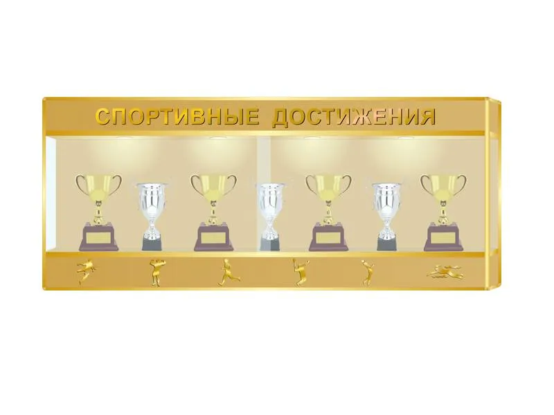 Витрина для кубков и наград Спортивные достижения