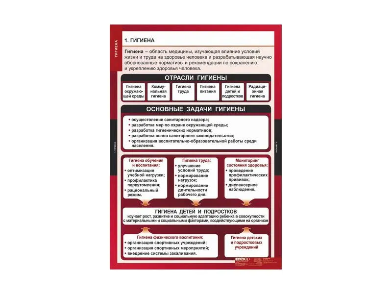 Комплект учебных таблиц «ОБЖ — Гигиена» 68×98 см