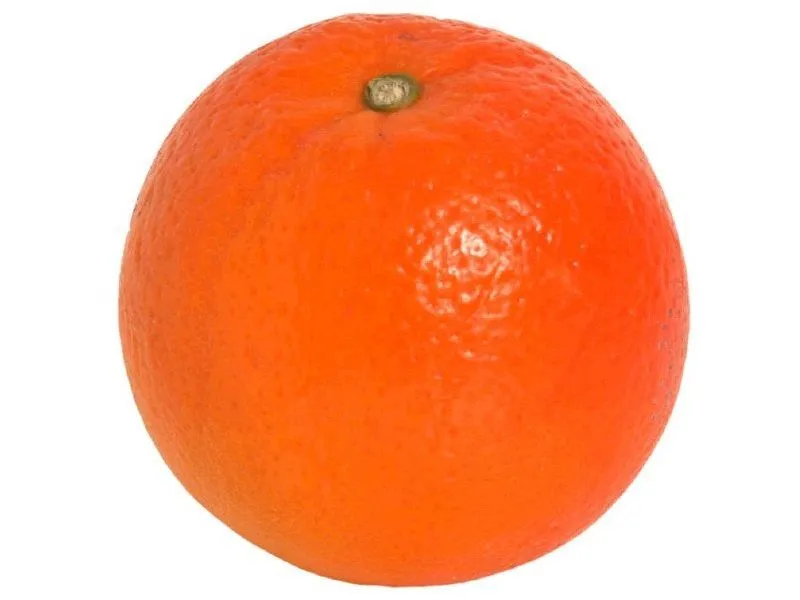 Муляж Мандарин для уроков рисунка