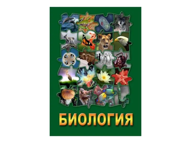 Комплект видеофильмов по биологии на DVD — 14 дисков