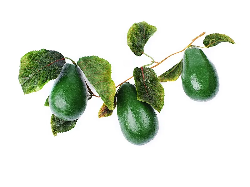 Ветка-муляж «Авокадо» в натуральных тонах