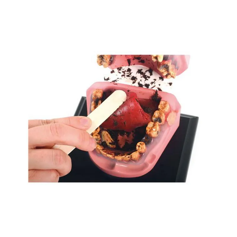 Модель рта курильщика