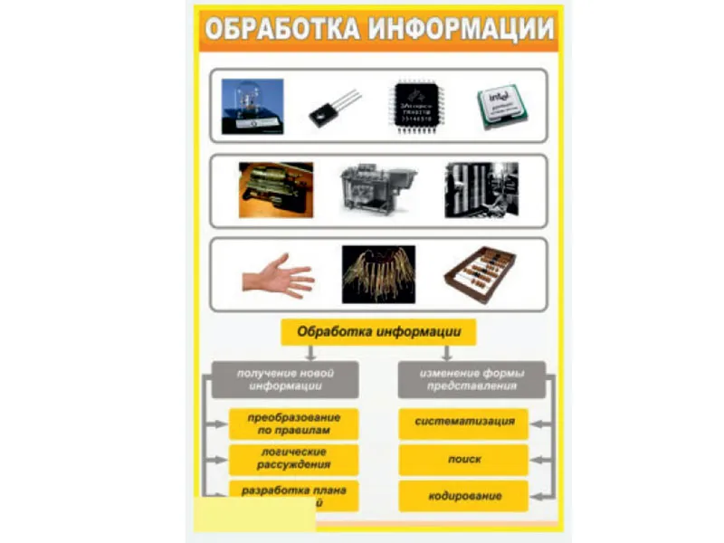 Стенд «Обработка информации» 100×70 см