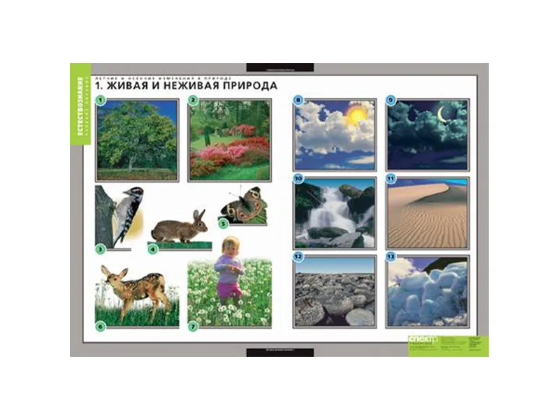 Таблицы «Лето и осень. Изменения в природе» 68×98 см