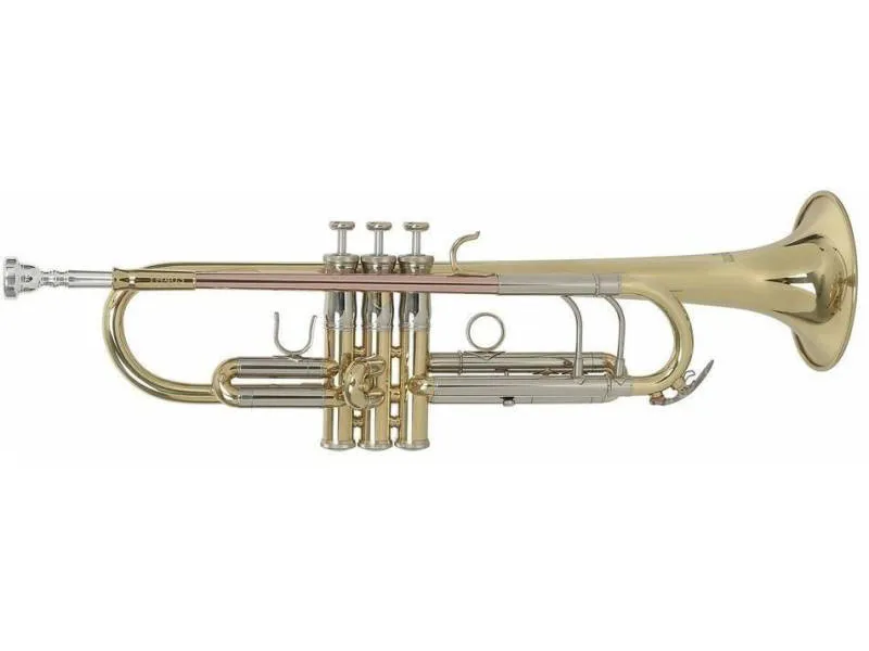 Труба Рой бэнсон - ROY BENSON TR-403