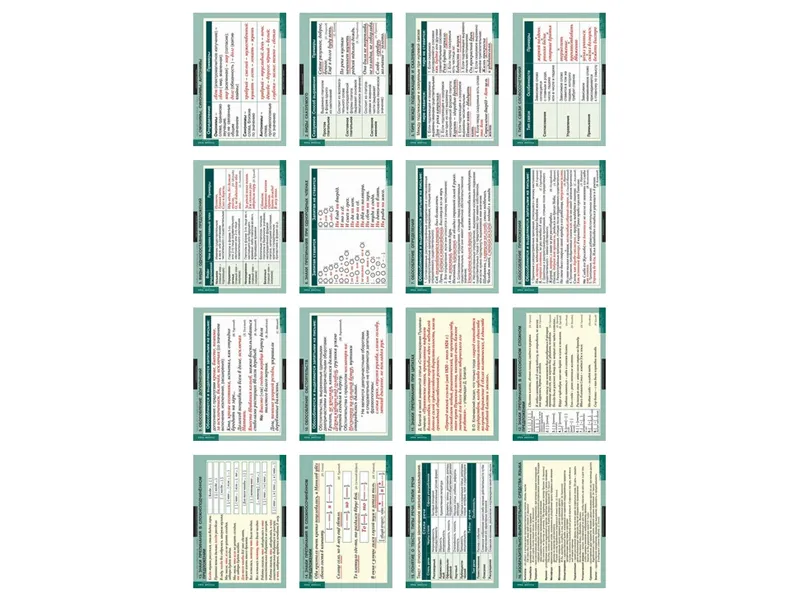 Русский язык 11 класс (таблицы 16 шт. 68х98 см)